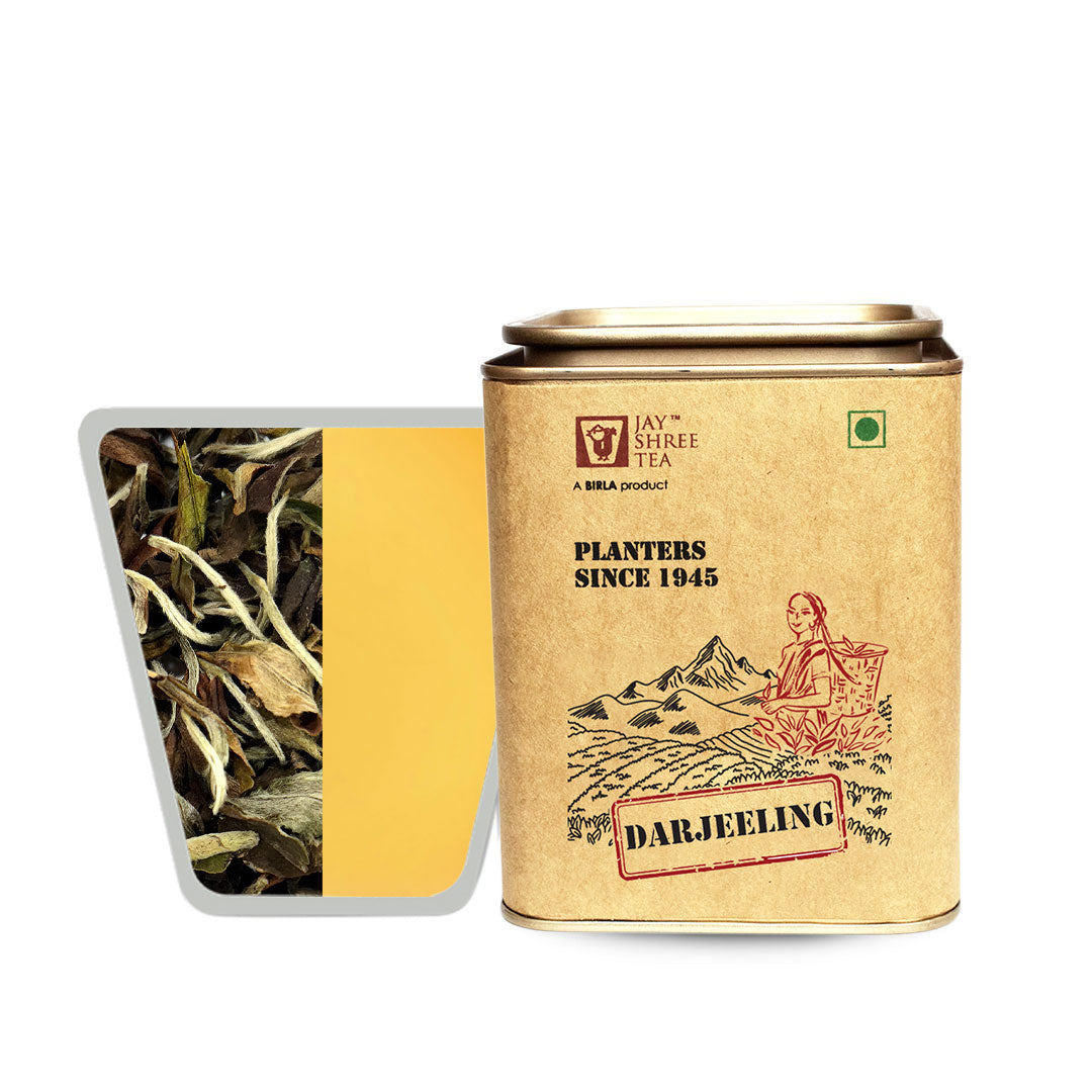 Darjeeling Turzum Bai Mu Dan Styled White Tea 2025 – Jayshree Tea