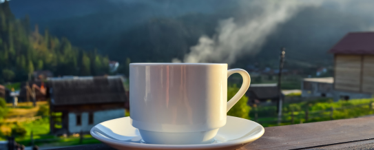 How to incorporate tea drinking into a busy morning routine? Check the ...