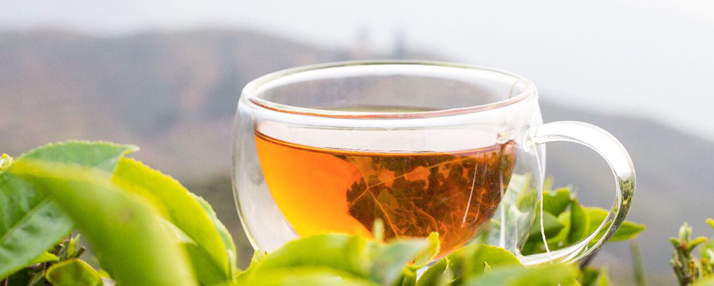 Darjeeling Tea