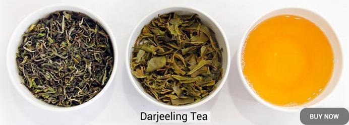 Buy Darjeeling Tea