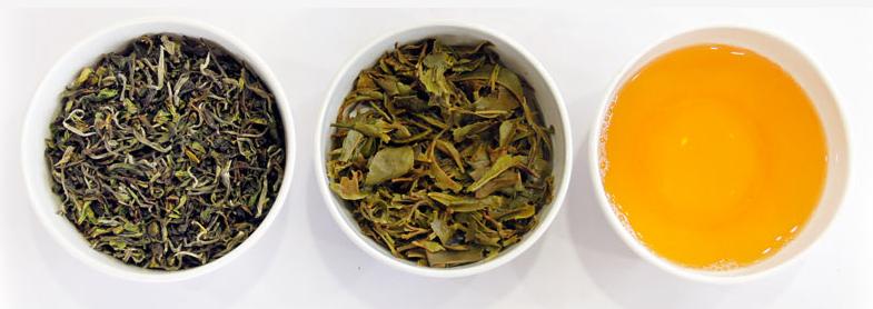 Darjeeling first flush tea