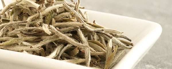 JST Website Blog Image C||Tips for a Perfect Cup of White Tea