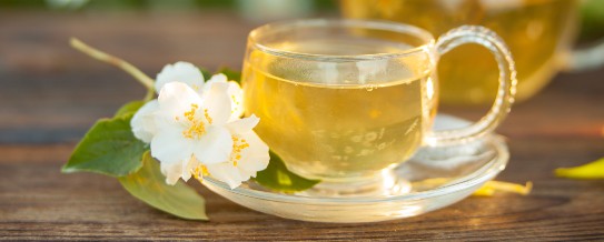 Planning to buy white tea online? If yes, first check these FAQs and t ...