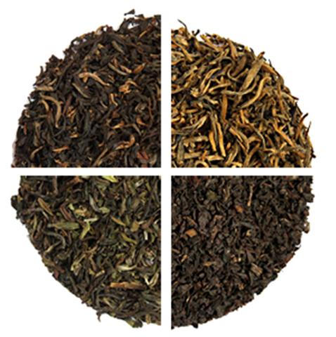 assam-vs-darjeeling tea