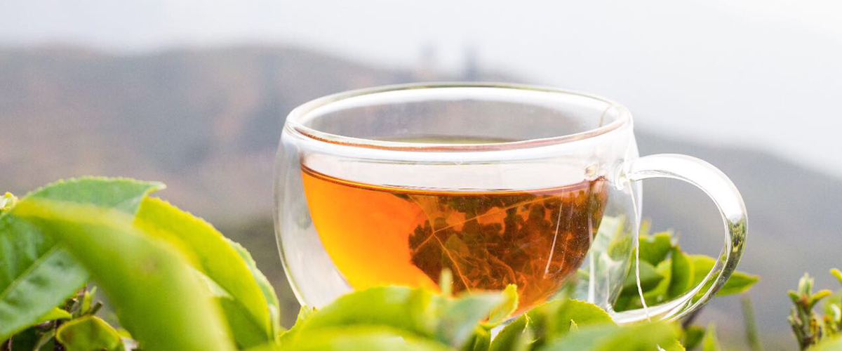 darjeeling tea