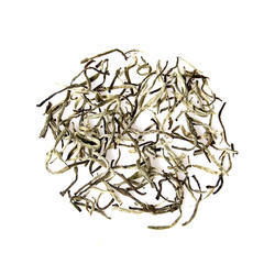 silver needle tea