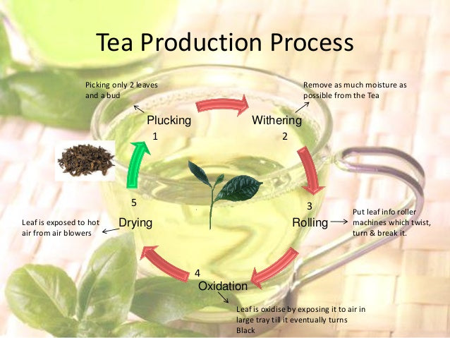 tea processing