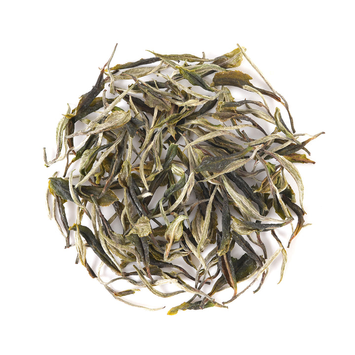 Darjeeling Turzum Spring White Tea 2025