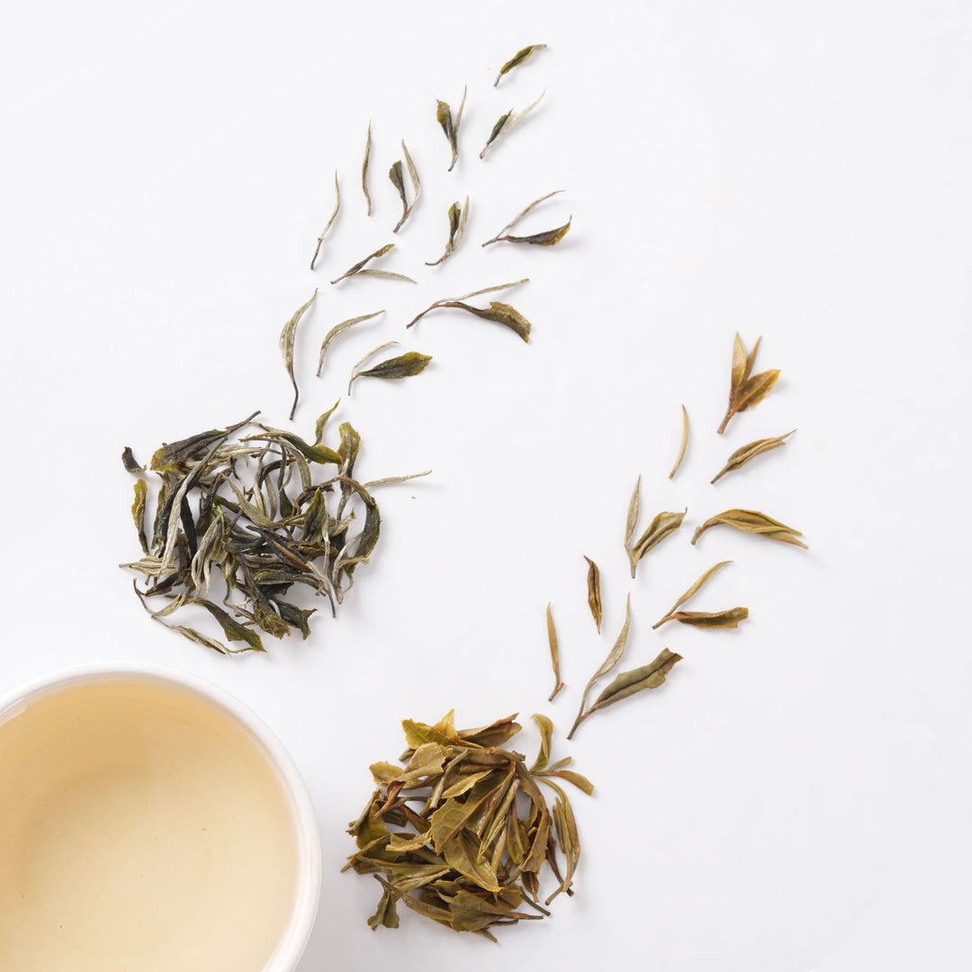 Darjeeling Turzum Spring White Tea 2025