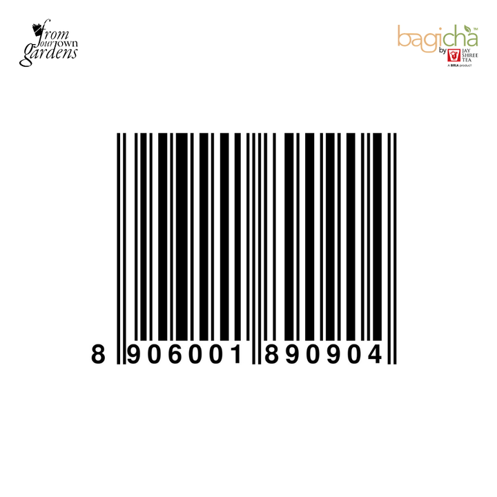 Bagicha by Jay Shree Tea | Jasmine Green Tea | 25 Enveloped Tea Bags