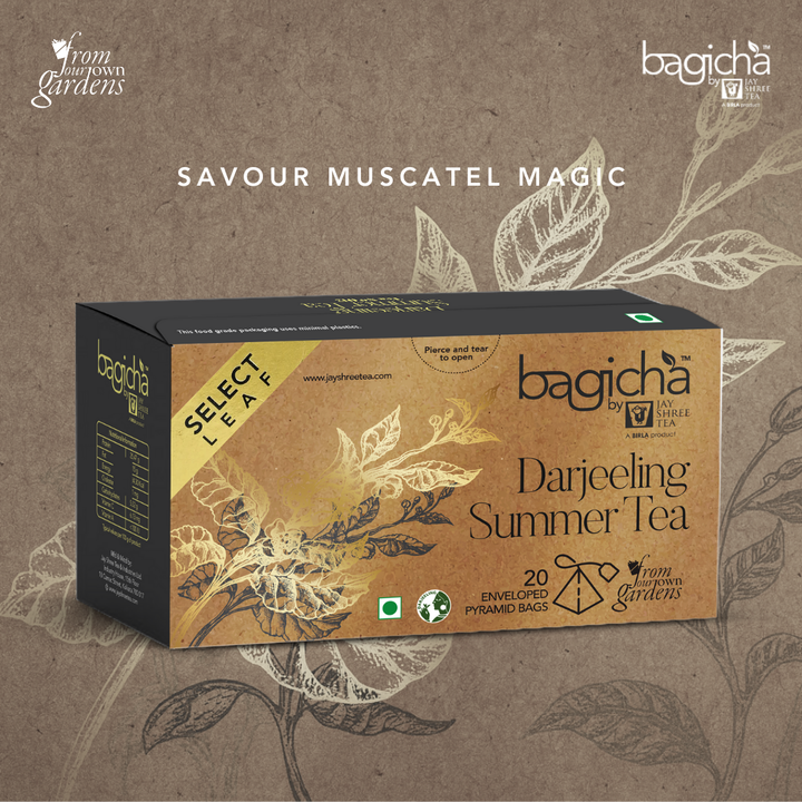Bagicha by Jay Shree Tea Darjeeling Summer Tea 20 Pyramid Tea Bags