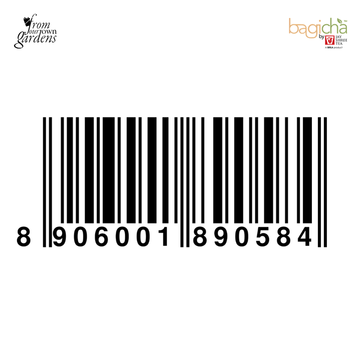 Bagicha by Jay Shree Tea Darjeeling Green Tea 20 Pyramid Tea Bags