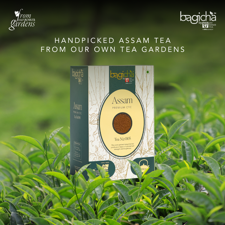 Bagicha By Jay Shree Tea Assam Premium CTC Tea (Pack of 2)