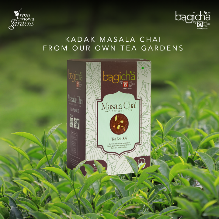 Bagicha By Jay Shree Tea Masala Chai (Loose Leaf) (Pack of 2)