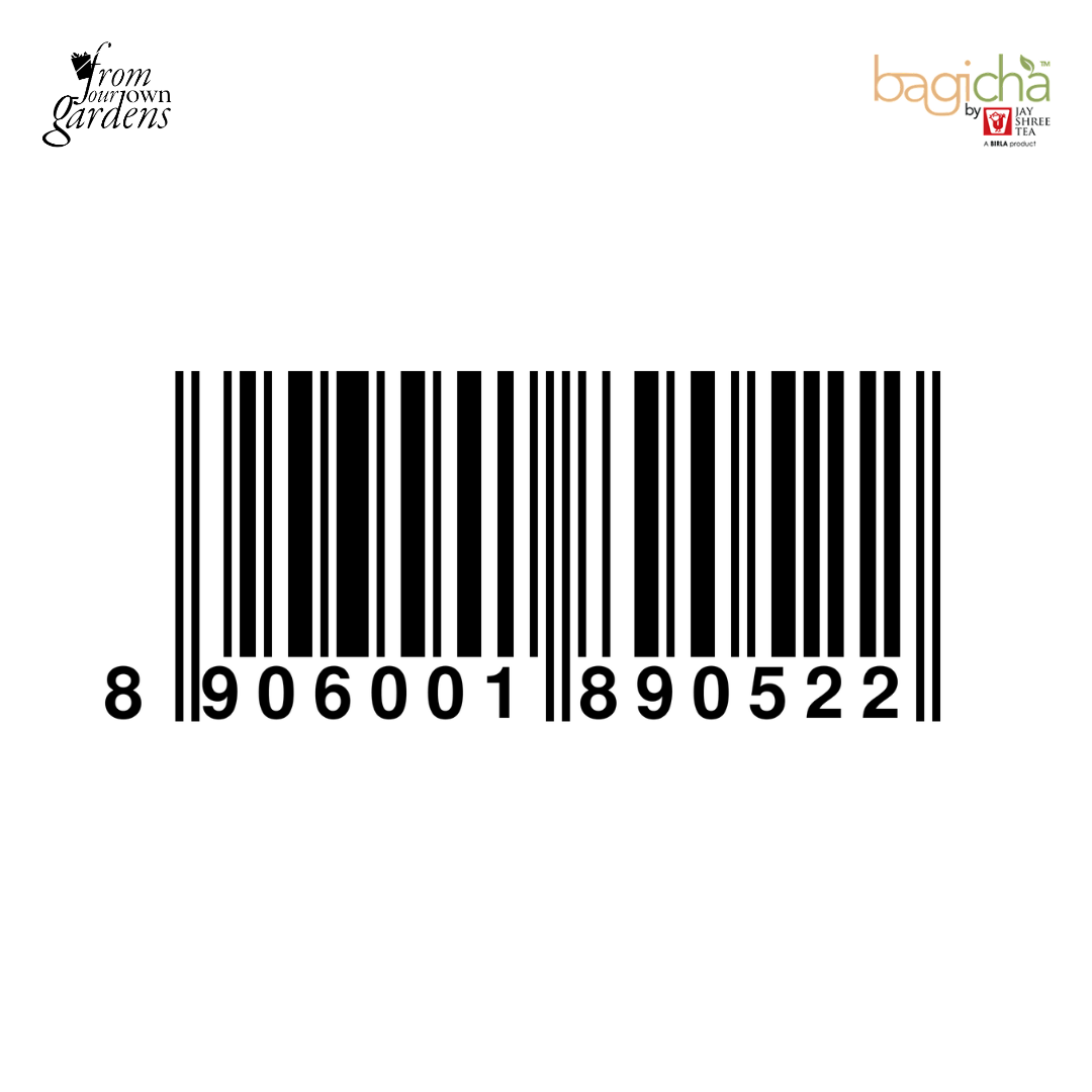 Bagicha By Jay Shree Tea Masala Chai (Loose Leaf) (Pack of 2)