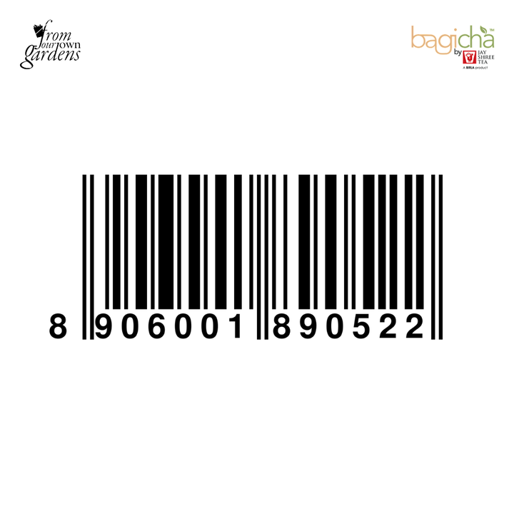 Bagicha By Jay Shree Tea Masala Chai (Loose Leaf) (Pack of 2)