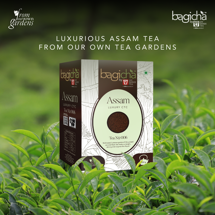 Bagicha By Jay Shree Tea Assam Luxury CTC Tea (Pack of 2)