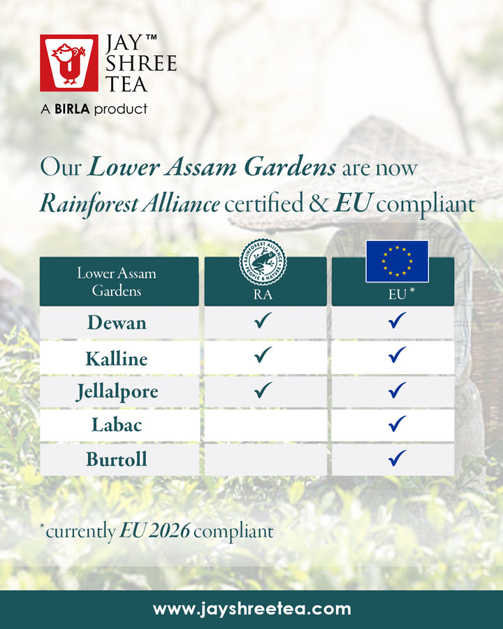 Darjeeling Turzum Autumnal Black Tea - The Fourth Season Delight 2025