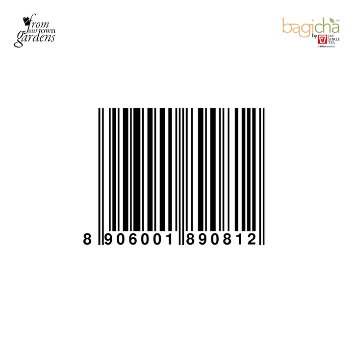 Bagicha By Jay Shree Tea Green Tea Natural Honey Flavour 25 Enveloped Tea Bags (Pack of 2)