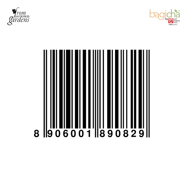 Bagicha By Jay Shree Tea Green Tea Natural Ginger Flavour Flavour 25 Enveloped Tea Bags (Pack of 2)