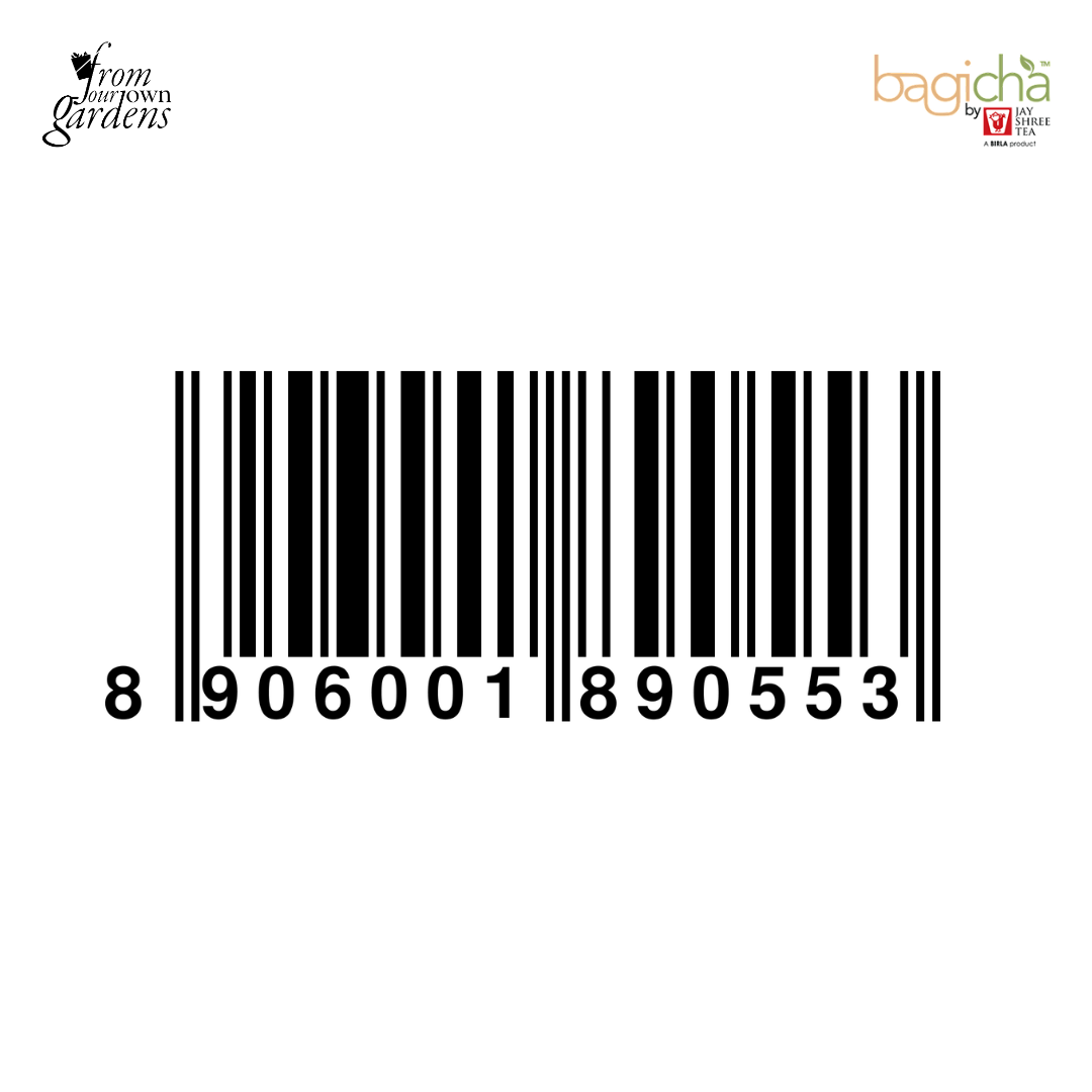 Bagicha By Jay Shree Tea Green Tea 25 Enveloped Tea Bags (Pack of 2)