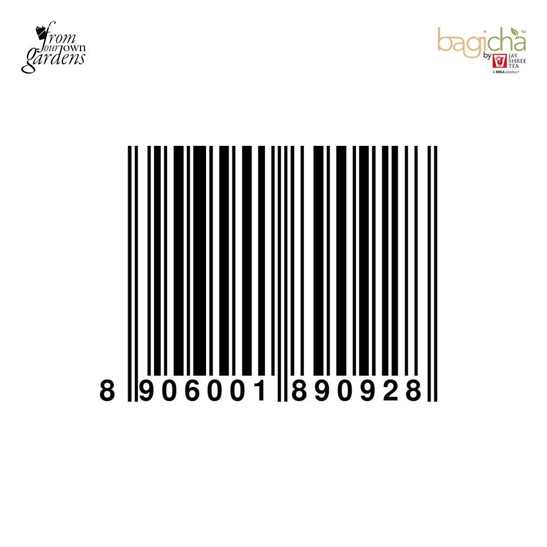 Bagicha by Jay Shree Tea | Mint Green Tea | 25 Enveloped Tea Bags