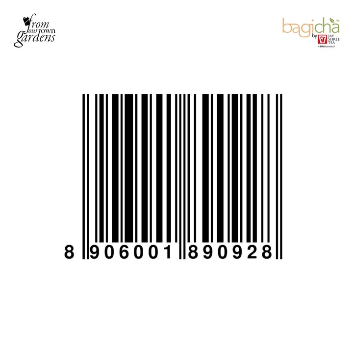 Bagicha by Jay Shree Tea | Mint Green Tea | 25 Enveloped Tea Bags