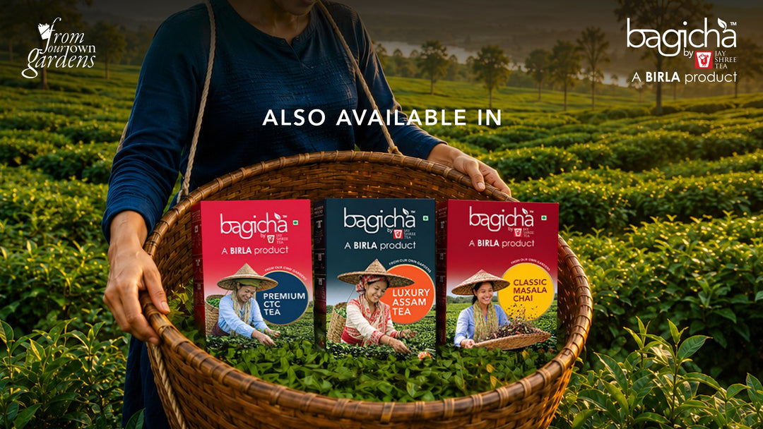 Bagicha By Jay Shree Tea Assam Premium CTC Tea (Pack of 2)
