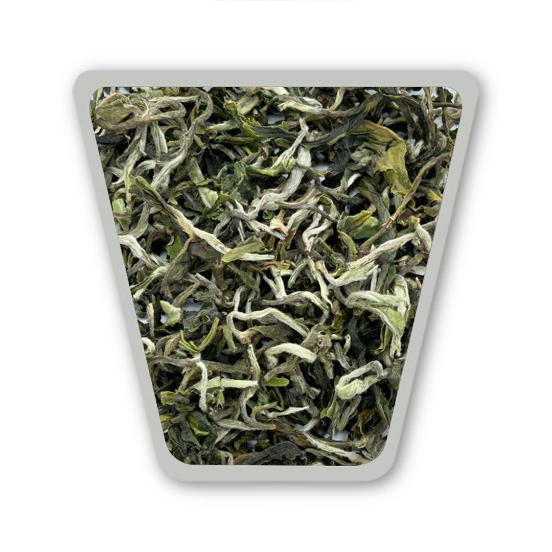 Darjeeling Puttabong First Flush 2026 – Flowery  Clonal Limited Edition 2026