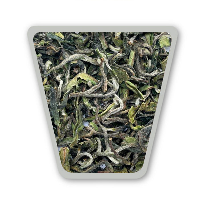 Darjeeling Puttabong First Flush 2026 – Moondrop Limited Edition 2026