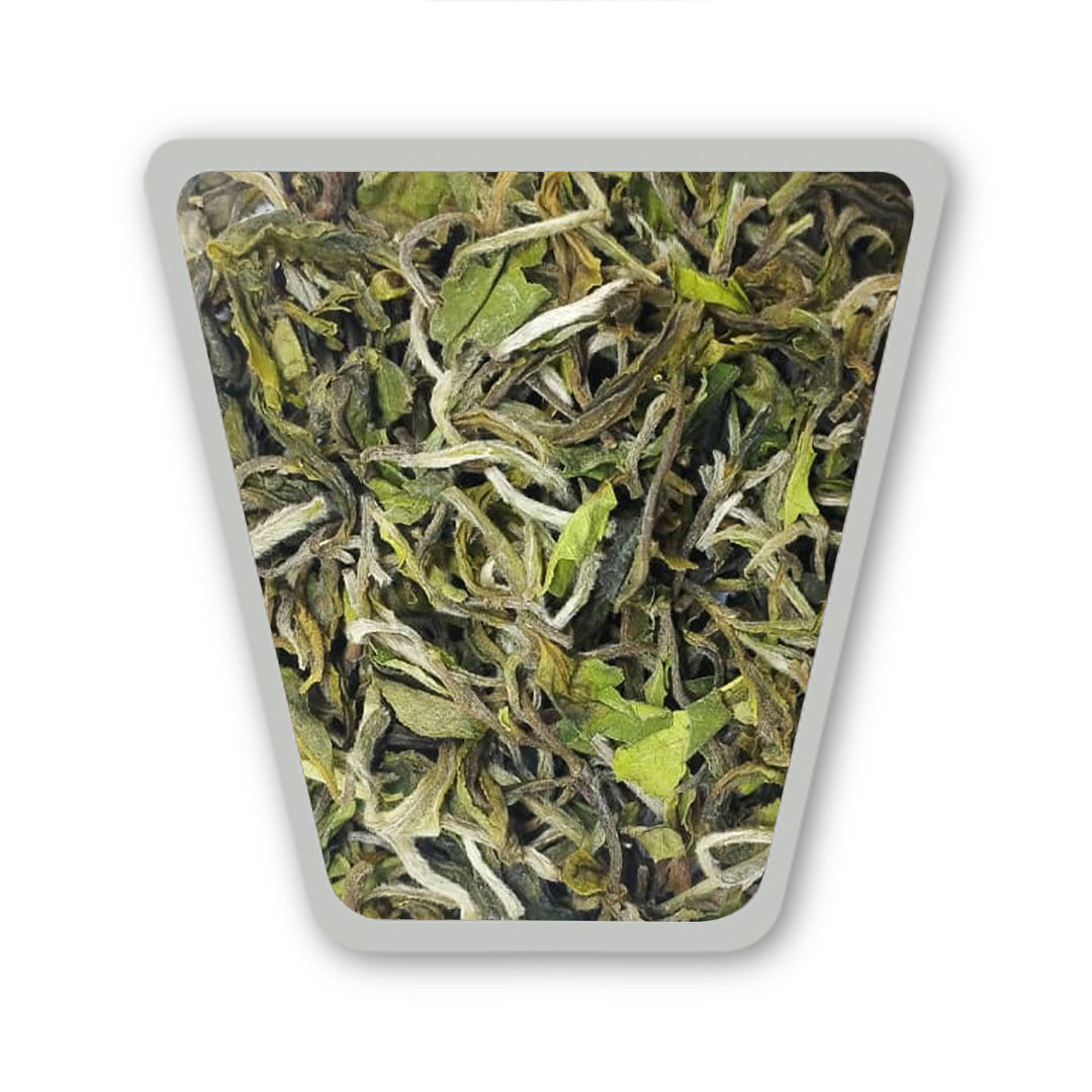 Darjeeling Turzum Moondrop First Flush 2026 – Clonal P312 Imperial Lot