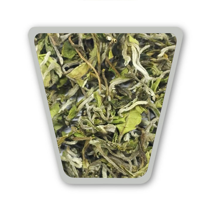 Darjeeling Balasun Flowery Clonal First Flush 2026 – “Prestige Micro Batch – 4kg Only