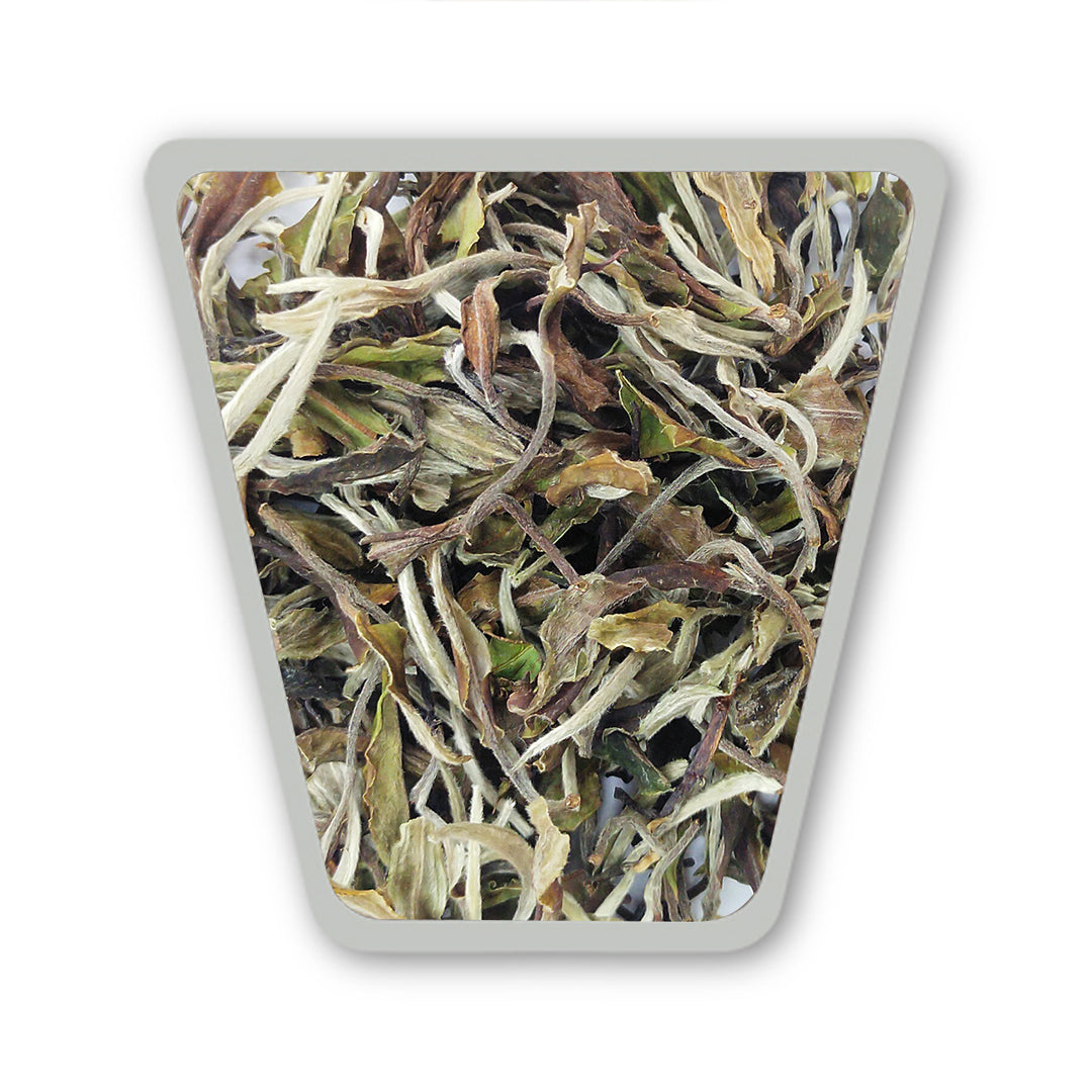 Lizahill White Tea 2026 –  First Flush Darjeeling Tea