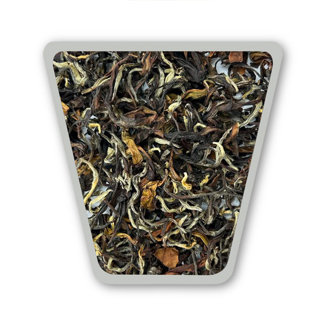 Turzum Signature Clonal Oolong – Darjeeling Second Flush 2026