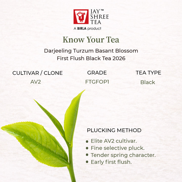 Darjelling Turzum Basant Moonlight Black Tea 2026
