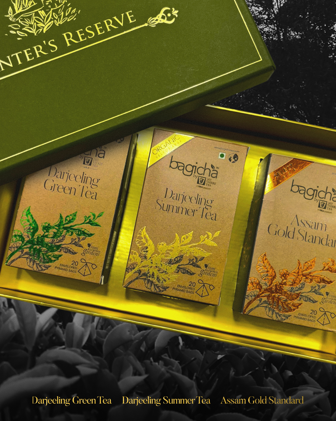 Planter's Reserve Gift Set | Classic