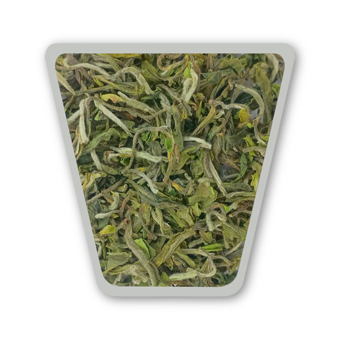 Darjeeling Turzum Enigma Imperial Reserve First Flush 2026