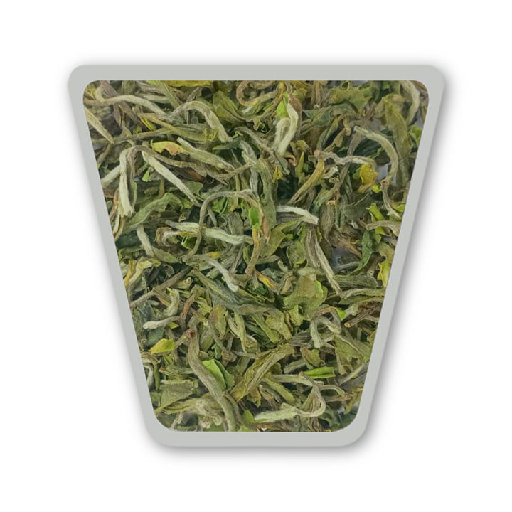 Darjeeling Turzum Enigma Imperial Reserve First Flush 2026