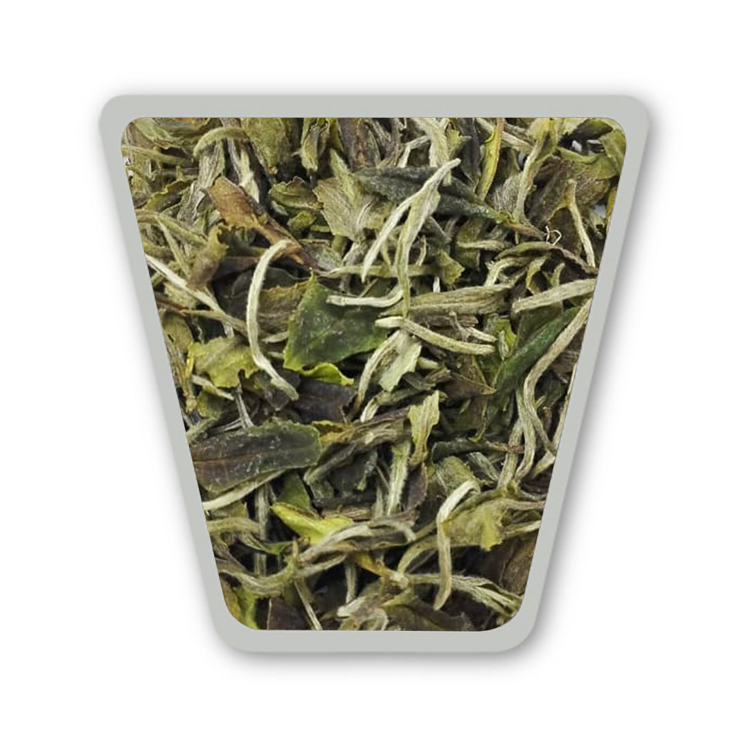 Darjeeling Turzum Spring Petrichor First Flush 2026 – Connoisseur's Reserve