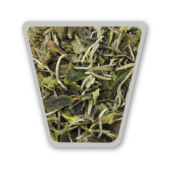 Darjeeling Turzum Spring Petrichor First Flush 2026 – Connoisseur's Reserve