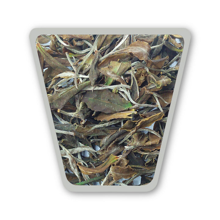 Mangalam Yue Guang Bai Styled White Tea  Second Flush 2026 – Signature Assam White Tea