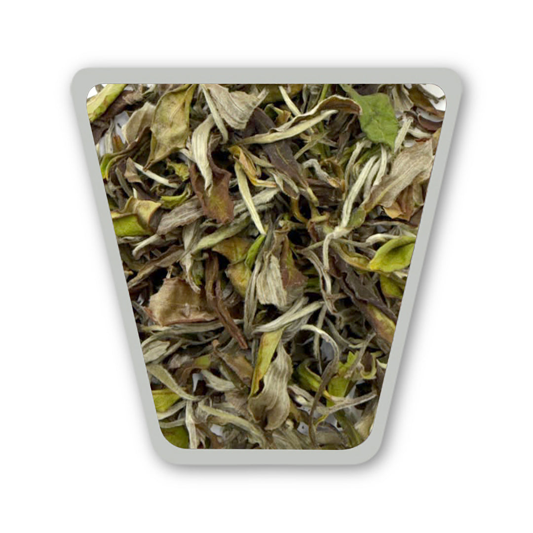 Darjeeling Turzum Alpine Bloom White Oolong — Monsoon Flush 2026