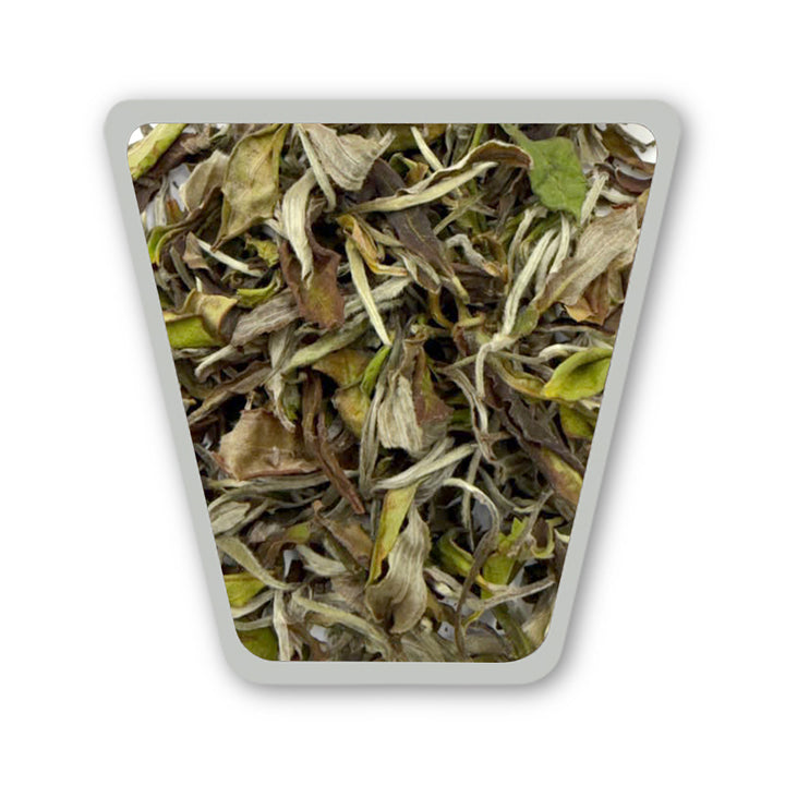 Darjeeling Turzum Alpine Bloom White Oolong — Monsoon Flush 2026