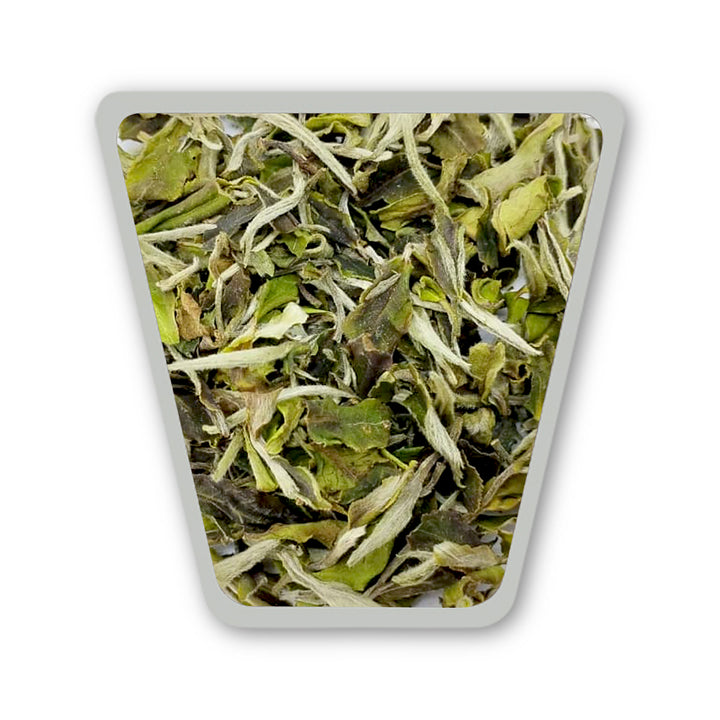 Darjeeling Balasun Morning Dew  First Flush White Tea 2026