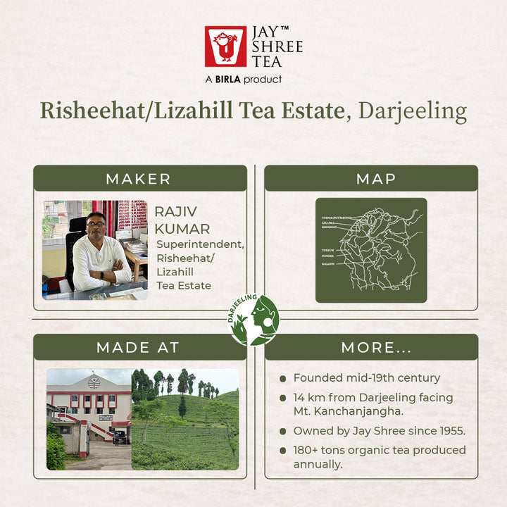 Lizahill Organic Flowery Clonal  – Darjeeling Second Flush 2026