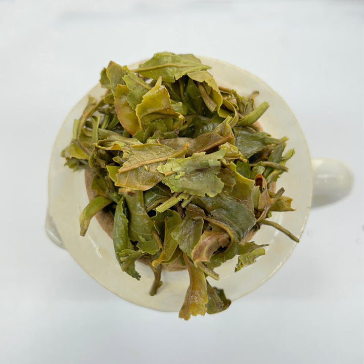 Darjeeling Puttabong First Flush 2026 – Moondrop Limited Edition 2026