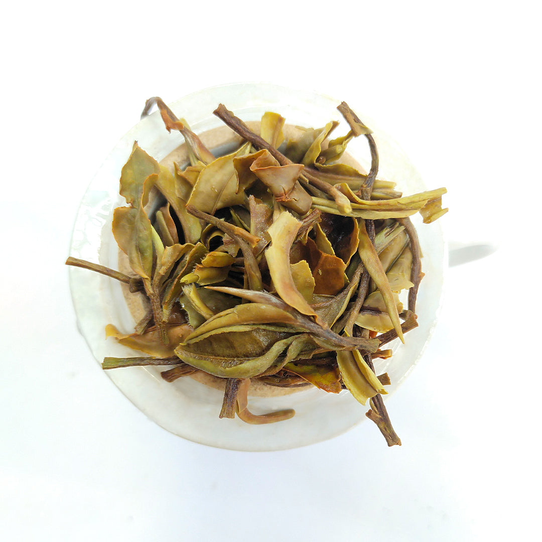 Lizahill White Tea 2026 –  First Flush Darjeeling Tea