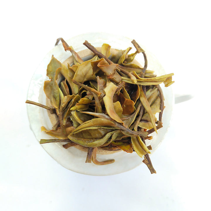 Lizahill White Tea 2026 –  First Flush Darjeeling Tea