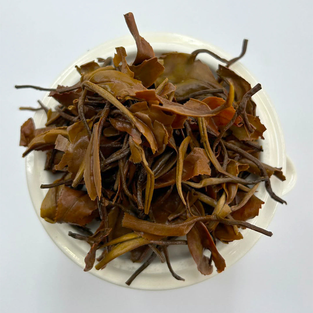Turzum Signature Clonal Oolong – Darjeeling Second Flush 2026