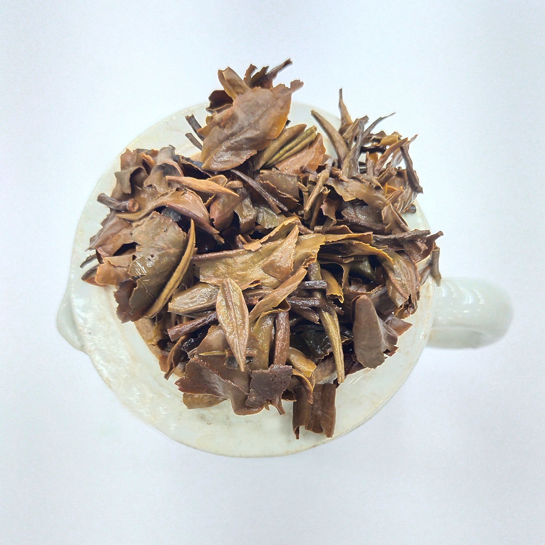 Turzum Beauty Signature Harvest – Darjeeling Second Flush 2026